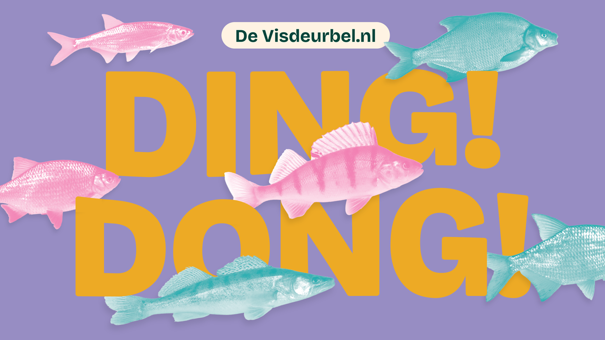 Utrecht's Fish Doorbell: How to Help Migrating Eels and Pike